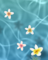 水面にゆらゆらと花が流れていきます。花に触れると色が変わり、そばの水面が揺らめきます。