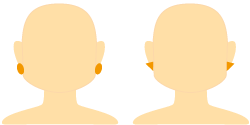 square_face-earrings.png
